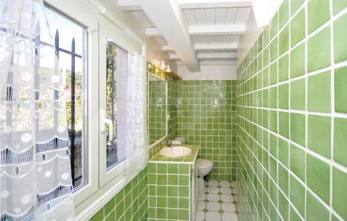 a green tiled bathroom with a sink and a window at Gorgeous Home In Cabris With Wifi in Cabris