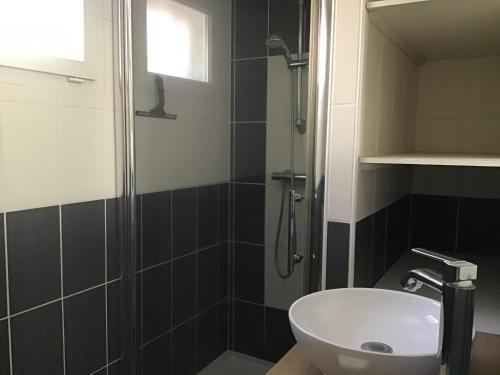 a bathroom with a shower and a toilet and a sink at La vallée des pierres in Saint-Romain-sur-Cher