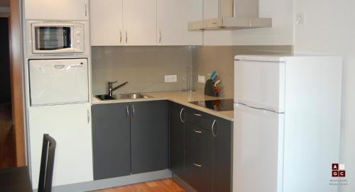 Cuisine ou kitchenette dans l'établissement Apartaments Girona Centre