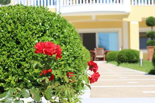Zahrada ubytování Shemesh Gardens House