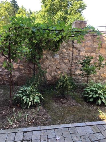 a garden with trees and plants next to a stone wall at Two Towers Guest House in Kutaisi
