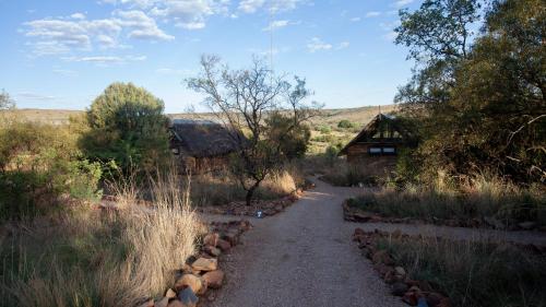 a dirt road leading to a house in a field at Cradle Boutique Hotel in Lanseria
