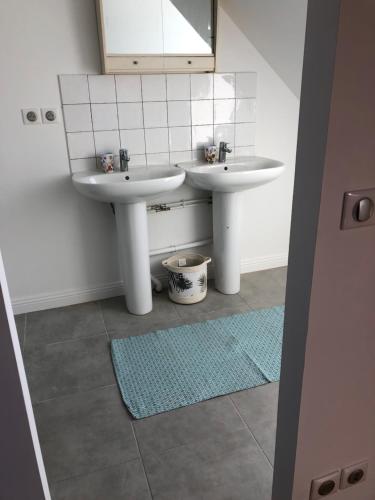 La salle de bains est pourvue de 2 lavabos, d'un miroir et d'un tapis. dans l'établissement Appartement à 2 minutes de la plage 5 places, à Berck-sur-Mer