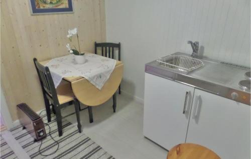 uma pequena cozinha com uma mesa e um lavatório em Nice Studio In Gravdal With Kitchen em Gravdal