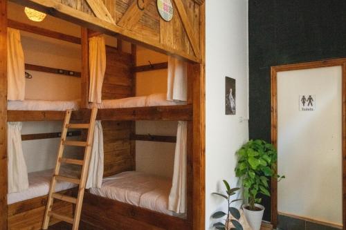 a bunk bed in a room with a ladder at The Cabin in Amman