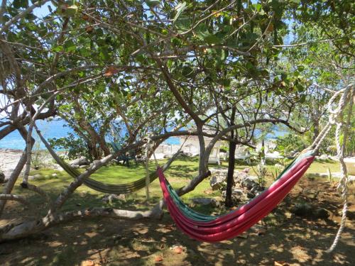 a hammock hanging from a tree near the beach at Tingalaya's Retreat in Negril