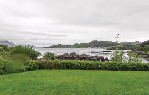 GravdalにあるNice Studio In Gravdal With Kitchenの緑地の水の風景