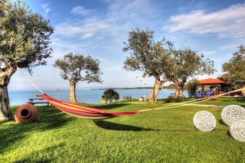 a hammock on the grass next to the water at Anna Karra Studios & Apartments in Vourvourou