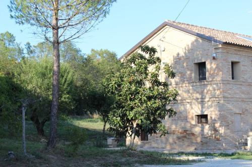 Gallery image of Archi Rooms in Loreto