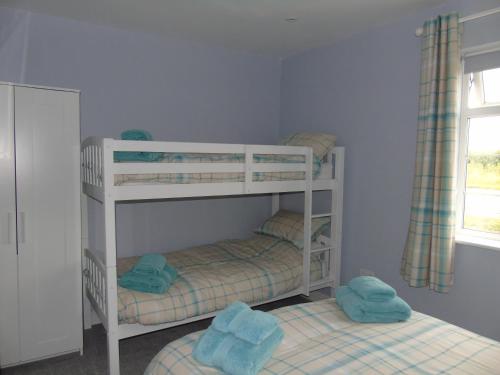 Ce dortoir comprend 2 lits superposés et des serviettes bleues. dans l'établissement The Blackbirds, à Lincoln