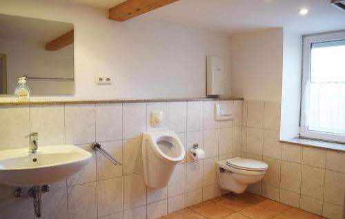 a bathroom with a toilet and a sink and a urinal at Amazing Apartment In Trierweiler With 3 Bedrooms And Wifi in Trierweiler