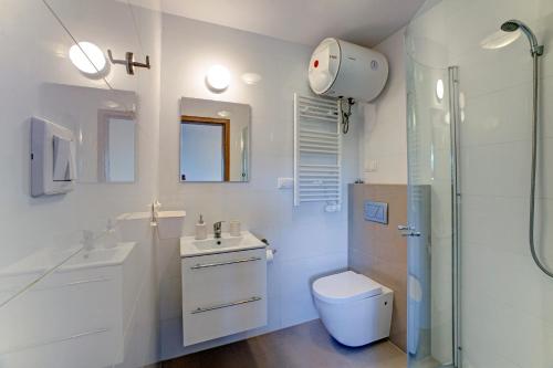 ソリナにあるDomki Przy Zaporzeの白いバスルーム(トイレ、シャワー付)