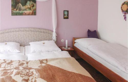 two beds in a small room with purple walls at Holiday Home Harzgerode Ot Neudorf Lxxiii in Neudorf
