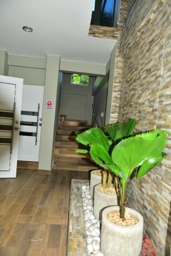Galería fotográfica de Hotel Real de Lua en Xilitla