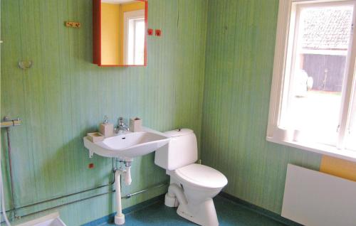 HallarydにあるStunning Home In Hallaryd With Kitchenの緑豊かなバスルーム(トイレ、シンク付)