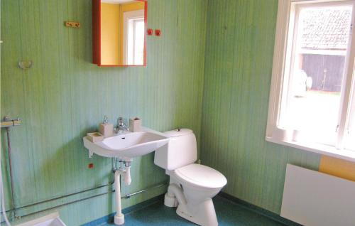 a green bathroom with a toilet and a sink at Holiday Home Kimmelsbygd Hallaryd Hallaryd in Hallaryd