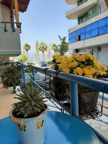 Kép Valis Studio - Lungomare ! szállásáról Vlorában a galériában