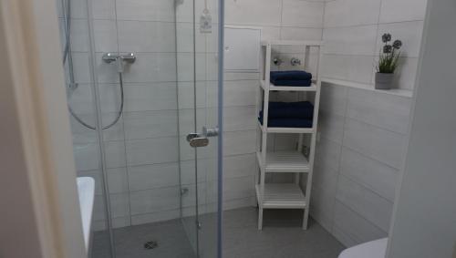 y baño con ducha con cabina de ducha de cristal. en kuebo-ferien Wohnung 3, en Kühlungsborn