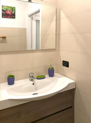 a bathroom with a white sink and a mirror at Il Giardino Del Nespolo in Arcola