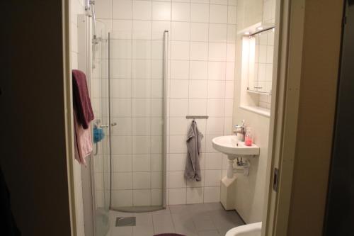 een badkamer met een douche en een wastafel bij Östra Flygeln Bunge Vandrarhem in Fårösund