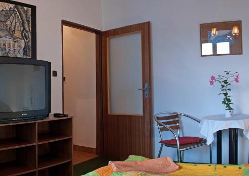 a room with a television and a table and a chair at Lovecký hotel Jívák in Loučeň