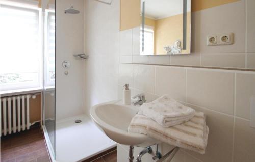 バート・ピルモントにあるAwesome Apartment In Bad Pyrmont With Wifiの白いバスルーム(シンク、シャワー付)