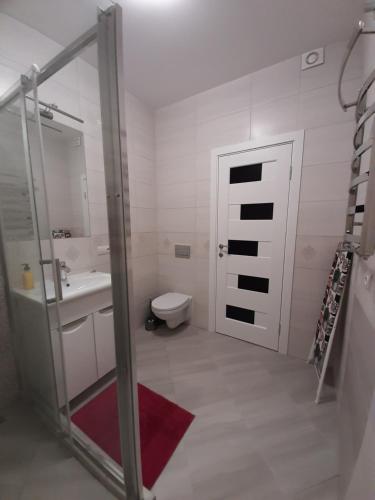 a bathroom with a shower and a toilet and a sink at Apartment in Serbska Lviv in Lviv