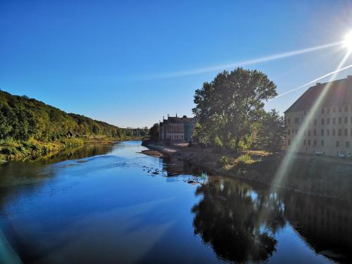a river with the sun shining on the water at Ferienwohnung Muldental in Grimma