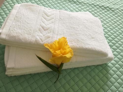 una flor amarilla sentada encima de las toallas en una cama en Baixinho Guest House, en Vila Praia de Âncora