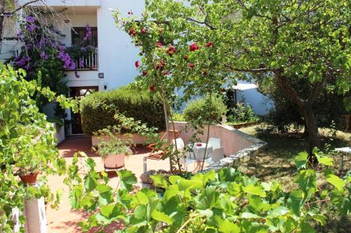 Gallery image of Apartments Gassner in Split