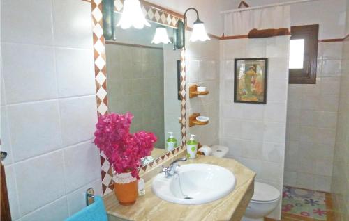 ピサラにあるBeautiful Home In Pizarra With Kitchenのバスルーム(洗面台、トイレ、鏡付)