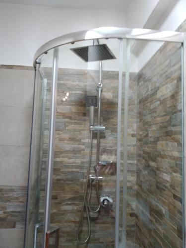 a shower with a glass door with a stone wall at Historical Domus in Anagni
