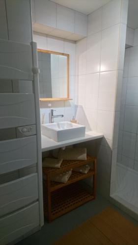 La salle de bains est pourvue d'un lavabo et d'un miroir. dans l'établissement SEJOUR AU COEUR DES VOLCANS, à Saint-Ours