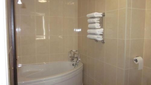 Mourne Country Hotel tesisinde bir banyo