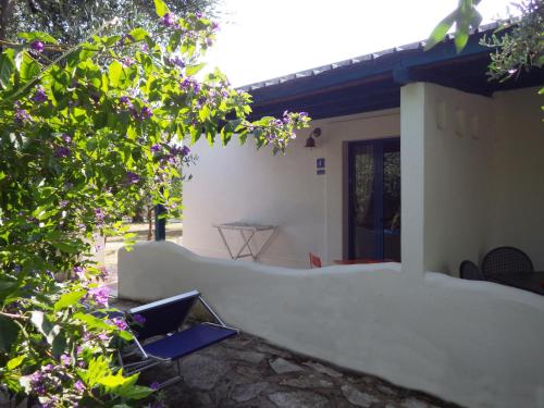 a white house with a white wall and purple flowers at B&B Masseria Liberatore in Mattinata