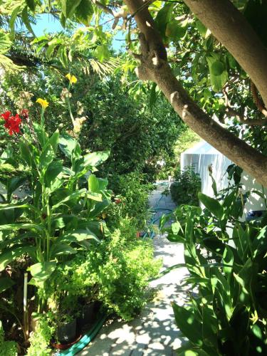 Un jardín fuera de Helliniko Hotel