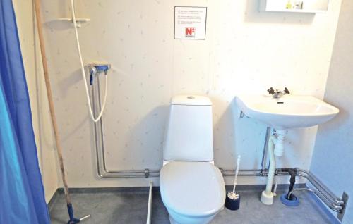 VrigstadにあるAmazing Home In Vrigstad With 1 Bedroomsのバスルーム(トイレ、洗面台付)