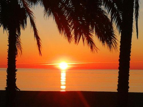 ein Sonnenuntergang am Strand mit zwei Palmen in der Unterkunft Livemálaga Reding Beach in Málaga