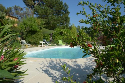 a swimming pool in a yard with trees at Le petit Bacalan in Mormoiron