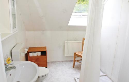 baño con lavabo y aseo y ventana en Pet Friendly Home In Dalum With Kitchen en Tomten