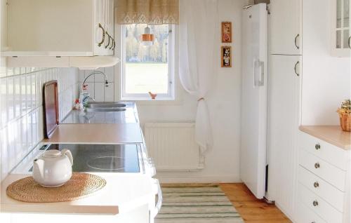 Majoituspaikan Gorgeous Home In Enviken With Wifi keittiö tai keittotila