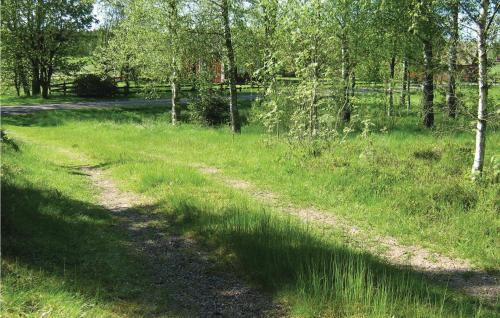 a dirt road in a grassy field with trees at Two-Bedroom Holiday Home Skeppshult 02 in Skeppshult