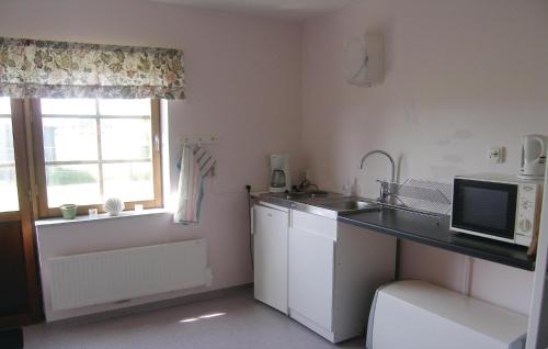 Η κουζίνα ή μικρή κουζίνα στο Awesome Apartment In Saxtorp With Wifi