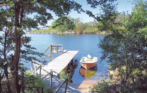 SaltärnaにあるHoliday Home Ronneby Lxxxvの湖の桟橋