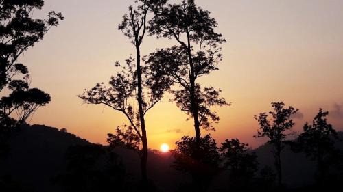 a sunset with two trees in the foreground at Ella Secret Paradise in Ella