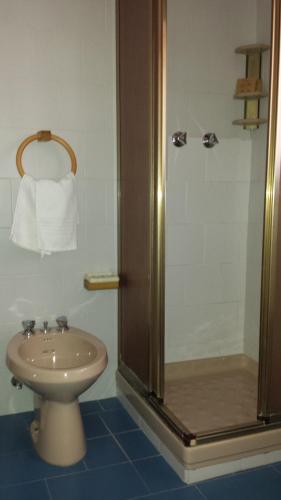 a bathroom with a shower and a toilet and a sink at Hotel Garni Gonzaga in Canazei