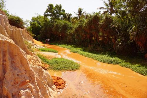 a dirt road next to a river with trees at Ngoc Sang Guesthouse in Mui Ne