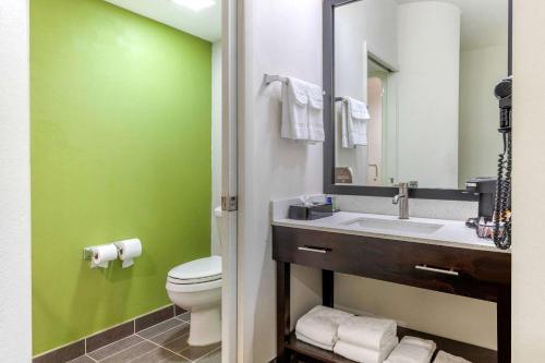 a bathroom with a sink and a toilet and a mirror at Sleep Inn Orangeburg in Orangeburg