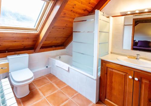 a bathroom with a toilet and a sink at Apartamentos Rentarán in Tredós