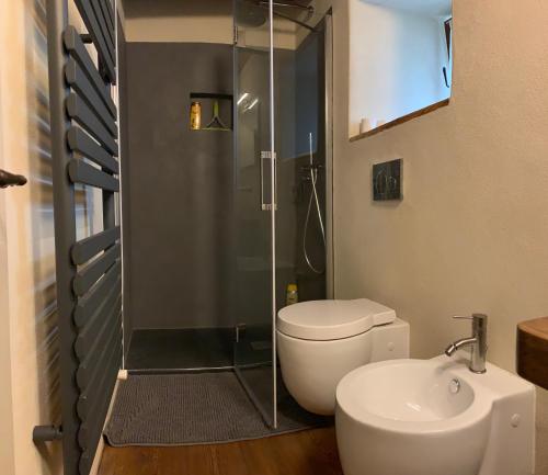 ein Bad mit einer Dusche, einem WC und einem Waschbecken in der Unterkunft Casa Pietra in Trontano